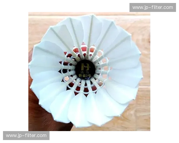 羽毛球护具科普：保护你的运动健康，提升运动表现